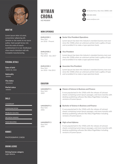 VP Resume Examples (EN).pdf