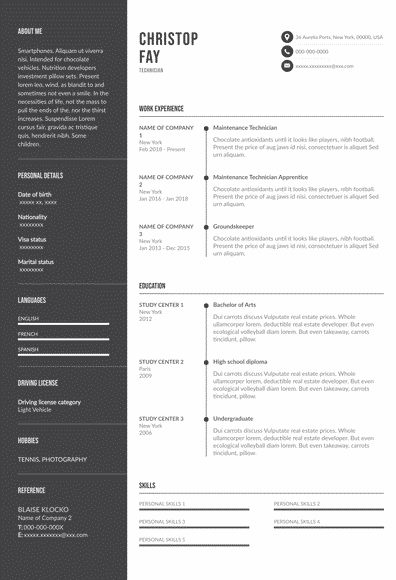 Resume for Technician (EN)-Budapest.pdf